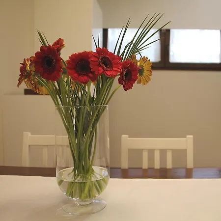 Bed & Breakfast Casa Olla